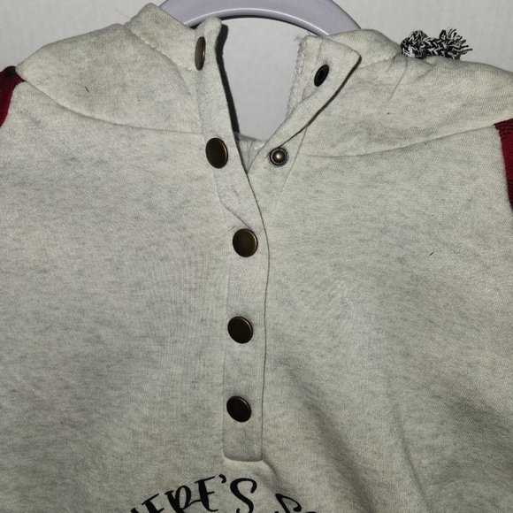 There's Some Ho's In This House - 3 Pack of Hoodies - Picture 5 of 5